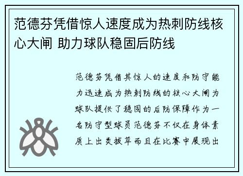 范德芬凭借惊人速度成为热刺防线核心大闸 助力球队稳固后防线